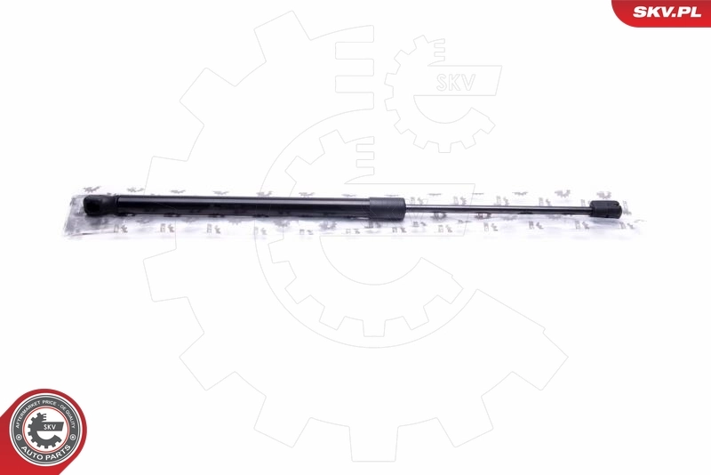 Gas Spring, boot/cargo area